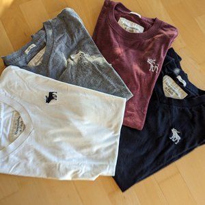 Bundle of 4 A&F Muscle Tees Size L
